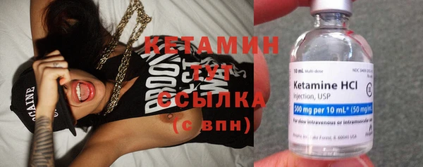 спиды Богородицк