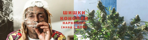 спиды Богородицк