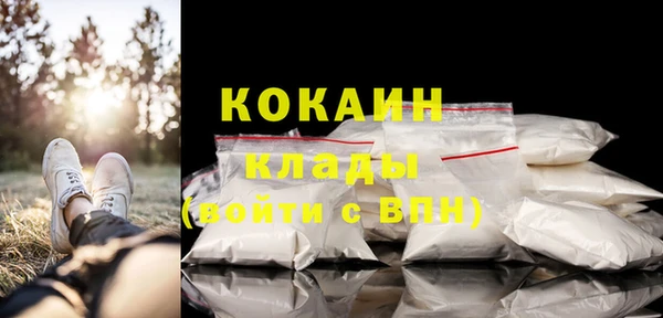 спиды Богородицк