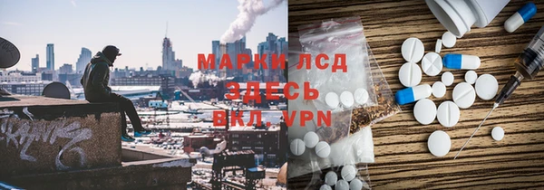 спиды Богородицк