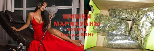 спиды Богородицк