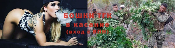 спиды Богородицк