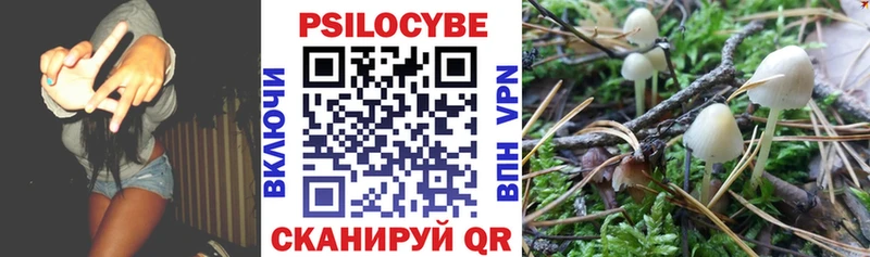 Галлюциногенные грибы MAGIC MUSHROOMS  OMG tor  Кораблино  наркота 